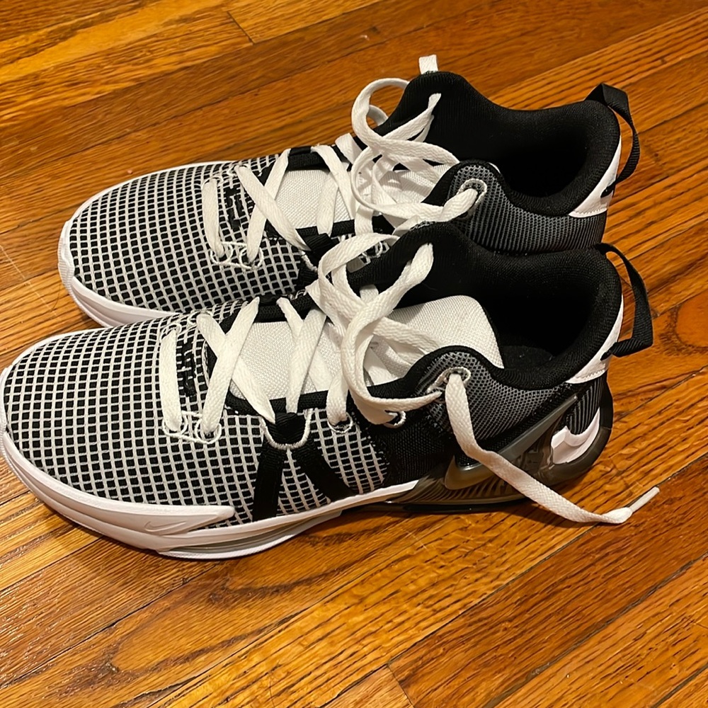 Nike Lebron Witness 6